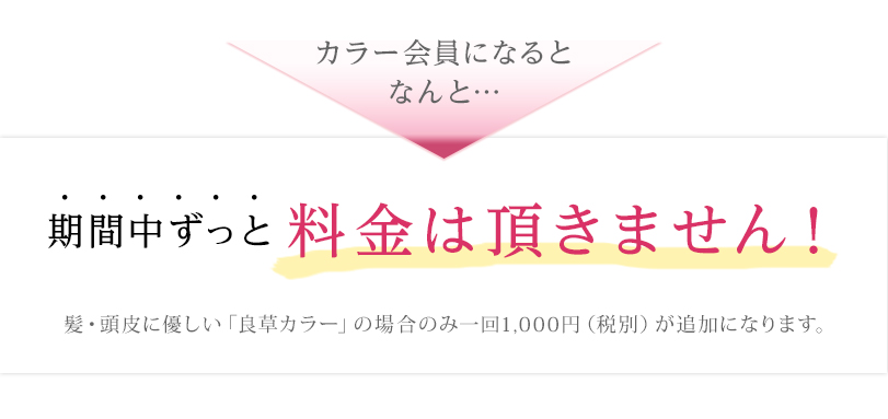 カラー会員の写真(群馬県桐生市)
